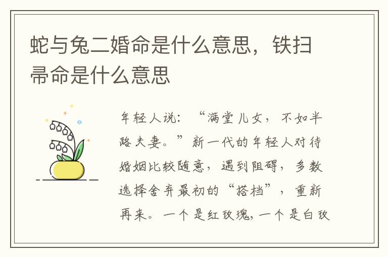 蛇与兔二婚命是什么意思，铁扫帚命是什么意思