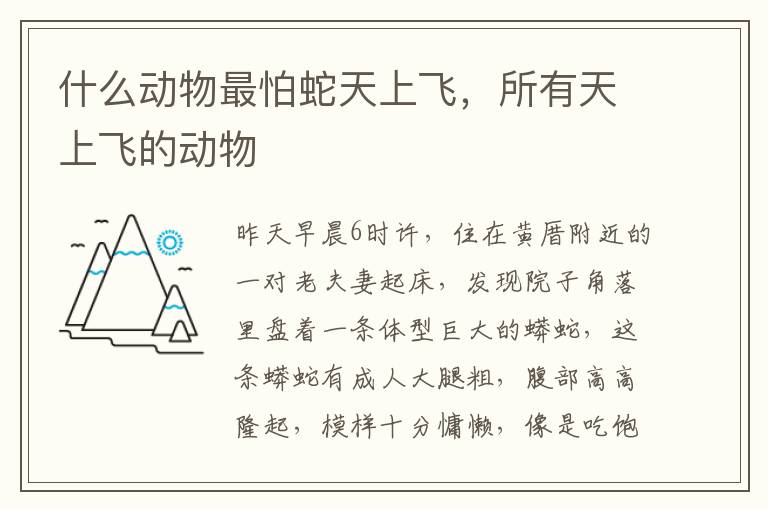 什么动物最怕蛇天上飞，所有天上飞的动物