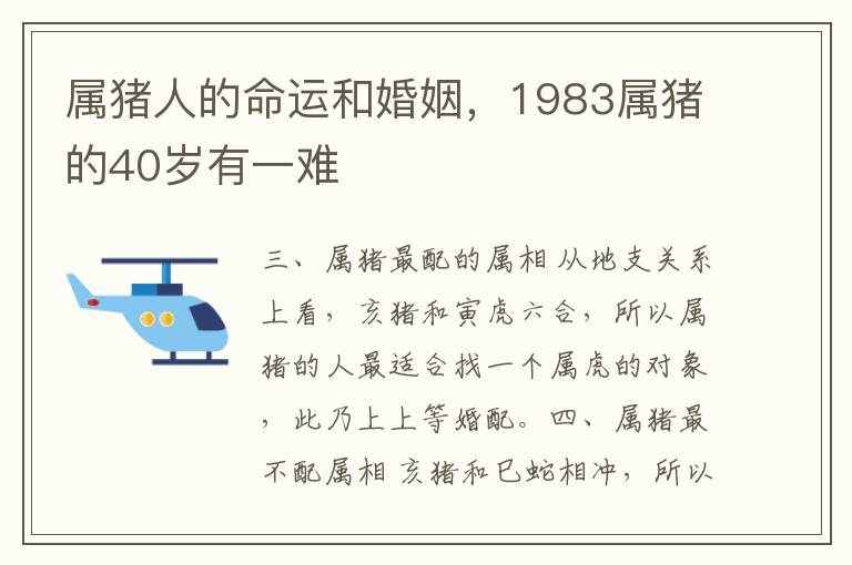 属猪人的命运和婚姻,1983属猪的40岁有一难