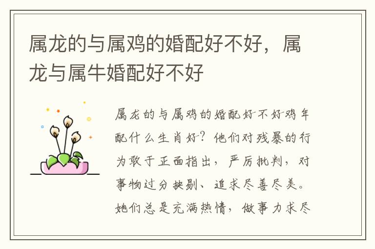 属龙的与属鸡的婚配好不好，属龙与属牛婚配好不好