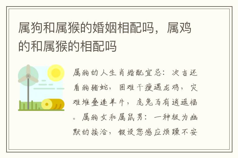 属狗和属猴的婚姻相配吗，属鸡的和属猴的相配吗