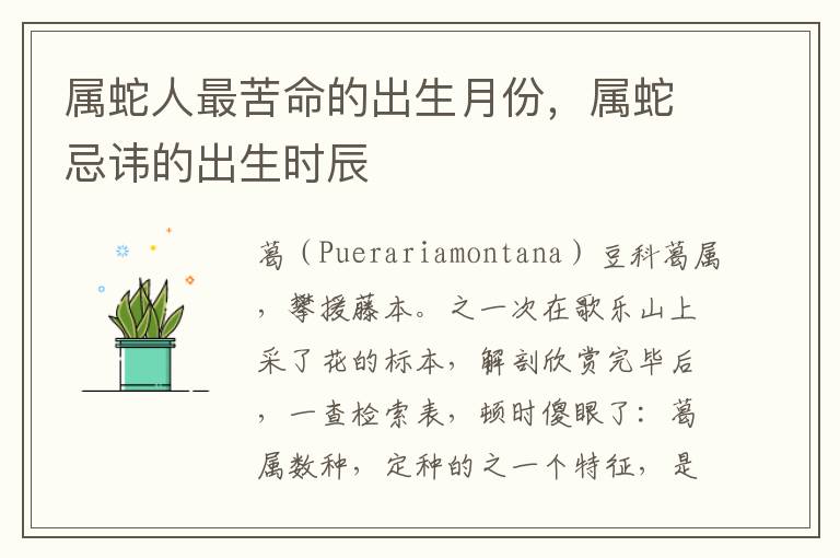 属蛇人最苦命的出生月份，属蛇忌讳的出生时辰