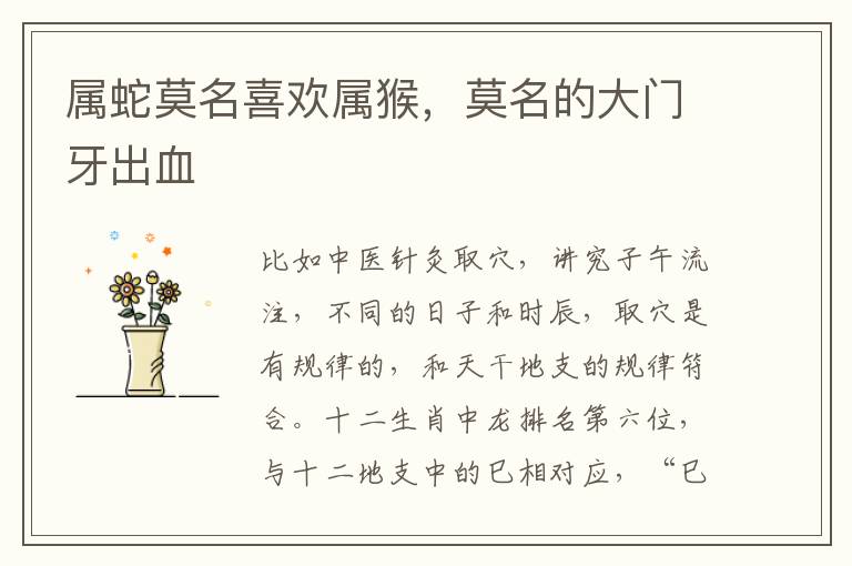 属蛇莫名喜欢属猴，莫名的大门牙出血