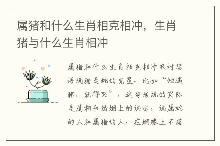 属猪和什么生肖相克相冲，生肖猪与什么生肖相冲