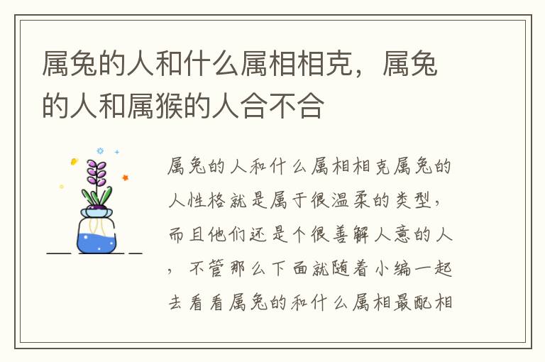 属兔的人和什么属相相克,属兔的人和属猴的人合不合