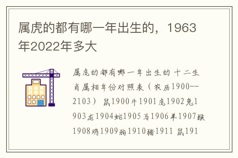 属虎的都有哪一年出生的，1963年2022年多大