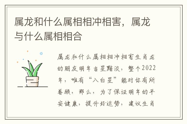 属龙和什么属相相冲相害，属龙与什么属相相合