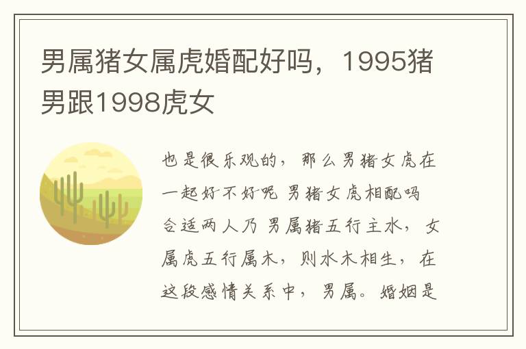 男属猪女属虎婚配好吗，1995猪男跟1998虎女