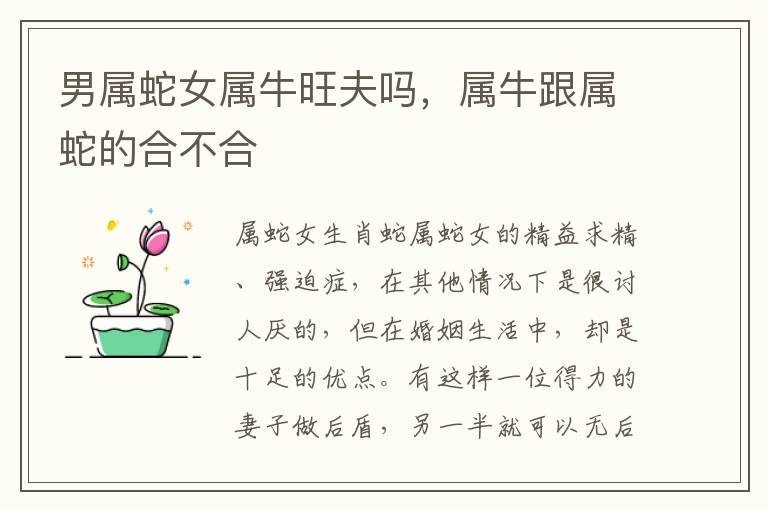 男属蛇女属牛旺夫吗，属牛跟属蛇的合不合