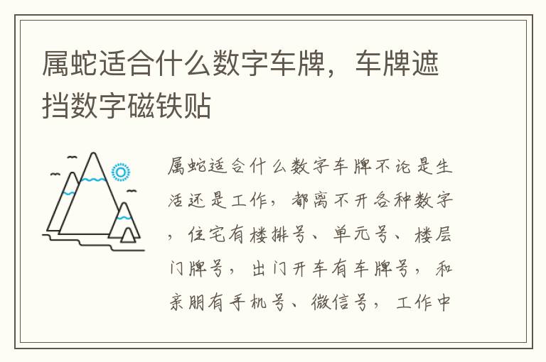 属蛇适合什么数字车牌，车牌遮挡数字磁铁贴