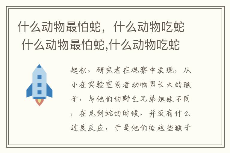 什么动物最怕蛇，什么动物吃蛇 什么动物最怕蛇,什么动物吃蛇不怕蛇