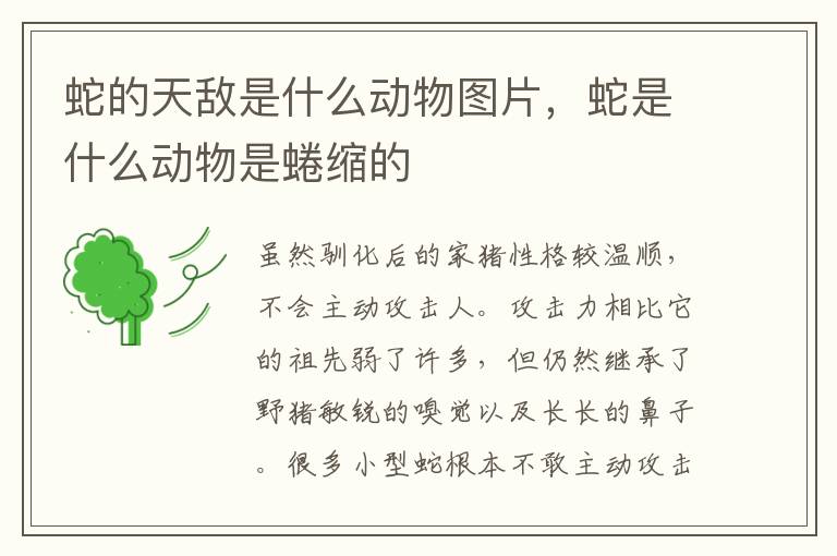 蛇的天敌是什么动物图片，蛇是什么动物是蜷缩的