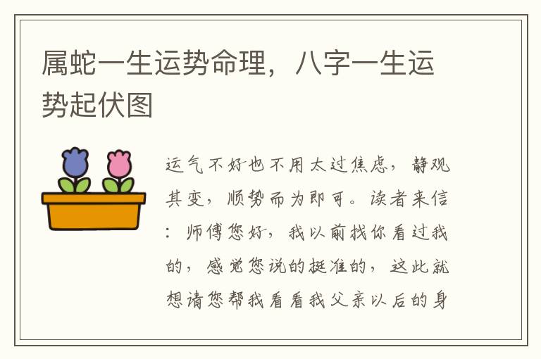 属蛇一生运势命理，八字一生运势起伏图