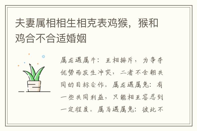 夫妻属相相生相克表鸡猴，猴和鸡合不合适婚姻
