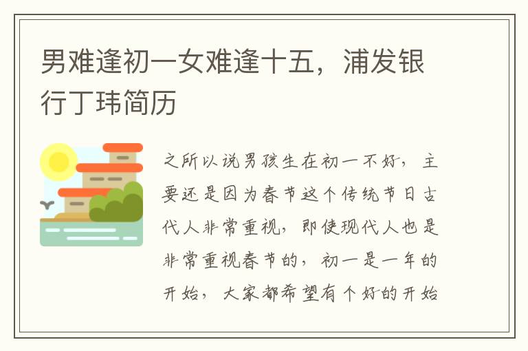 男难逢初一女难逢十五，浦发银行丁玮简历