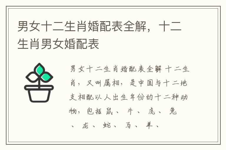 男女十二生肖婚配表全解，十二生肖男女婚配表