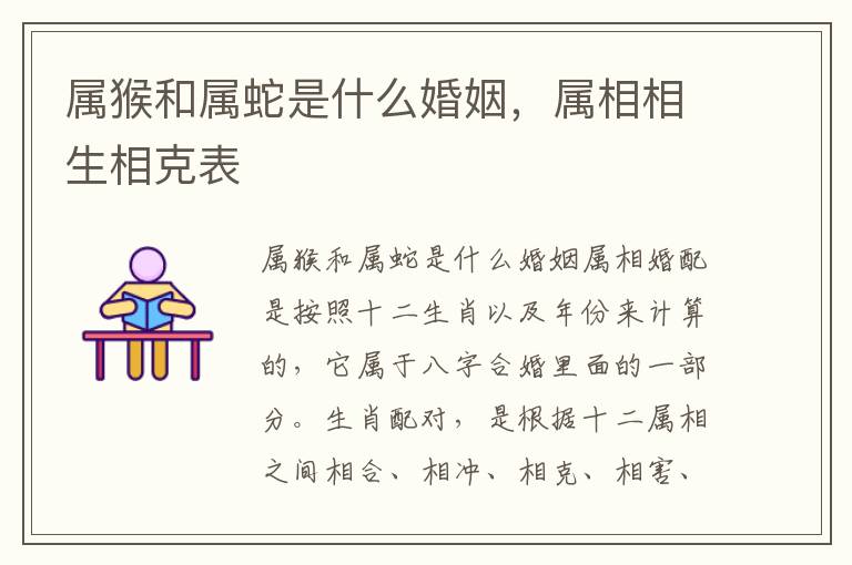 属猴和属蛇是什么婚姻，属相相生相克表