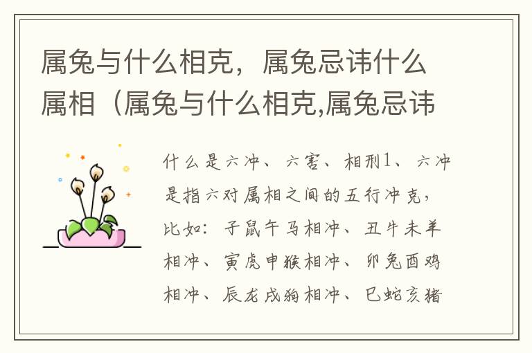 属兔与什么相克，属兔忌讳什么属相（属兔与什么相克,属兔忌讳什么属相的人）