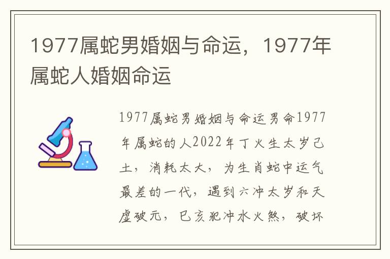 1977属蛇男婚姻与命运，1977年属蛇人婚姻命运