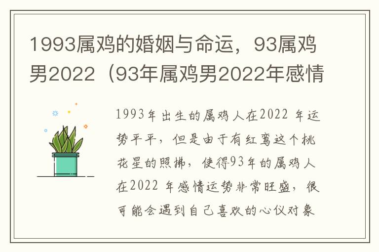 1993属鸡的婚姻与命运，93属鸡男2022（93年属鸡男2022年感情运势）