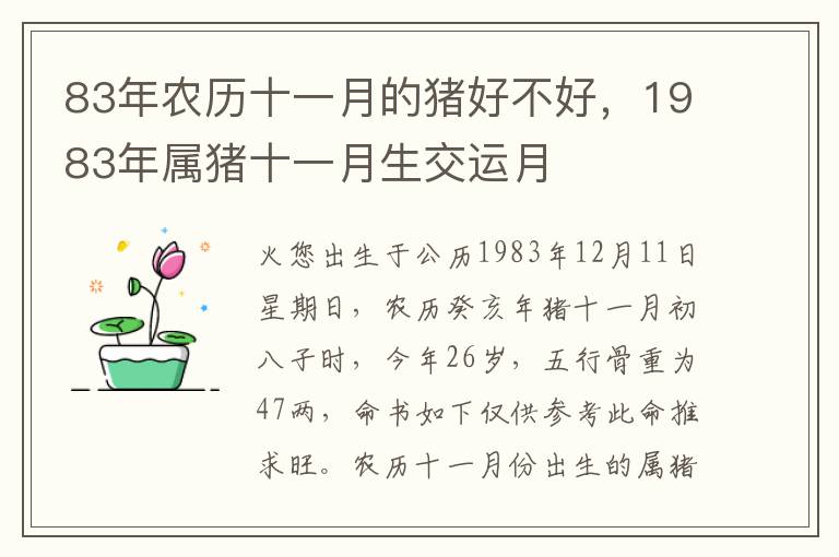 83年农历十一月的猪好不好，1983年属猪十一月生交运月