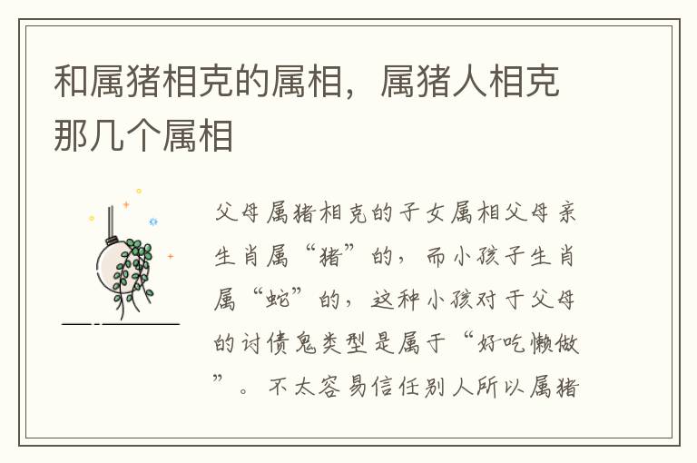 和属猪相克的属相,属猪人相克那几个属相