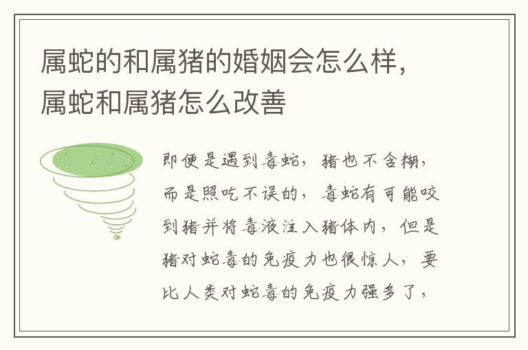属蛇的和属猪的婚姻会怎么样,属蛇和属猪怎么改善