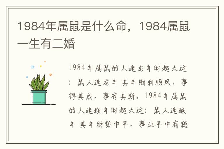 1984年属鼠是什么命，1984属鼠一生有二婚