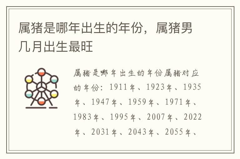 属猪是哪年出生的年份，属猪男几月出生最旺