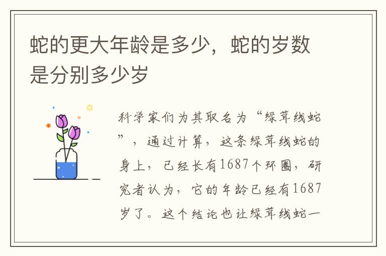 蛇的更大年龄是多少,蛇的岁数是分别多少岁