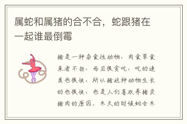 属蛇和属猪的合不合，蛇跟猪在一起谁最倒霉