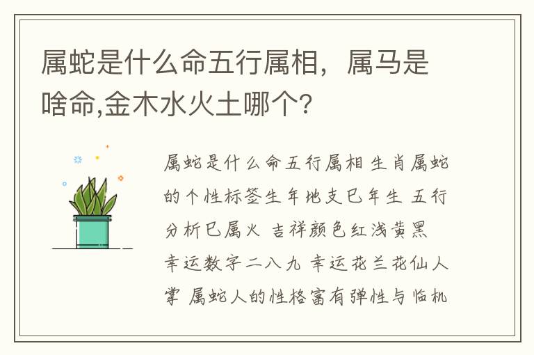 属蛇是什么命五行属相，属马是啥命,金木水火土哪个?
