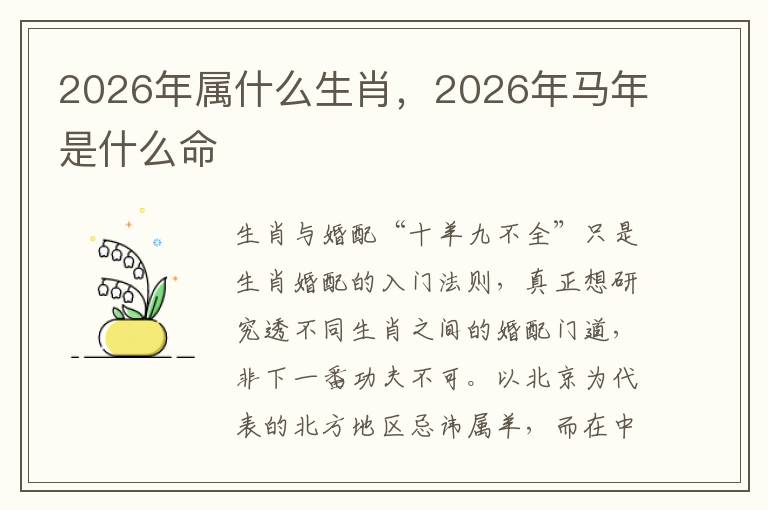 2026年属什么生肖,2026年马年是什么命