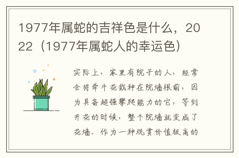 1977年属蛇的吉祥色是什么，2022（1977年属蛇人的幸运色）