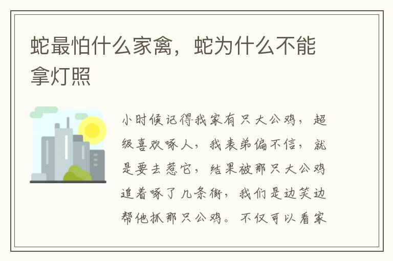 蛇最怕什么家禽，蛇为什么不能拿灯照