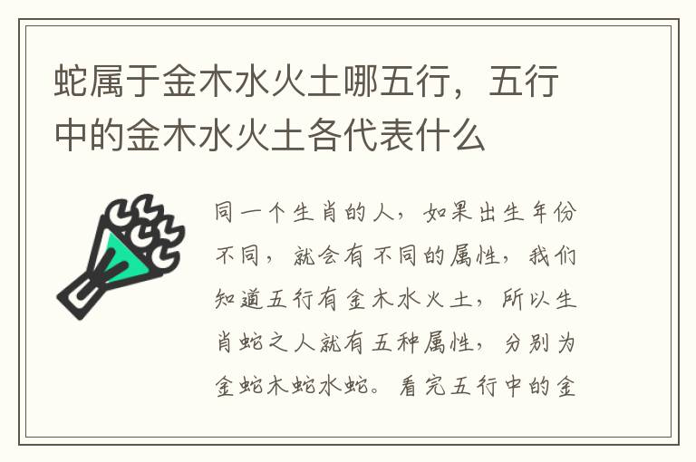 蛇属于金木水火土哪五行，五行中的金木水火土各代表什么