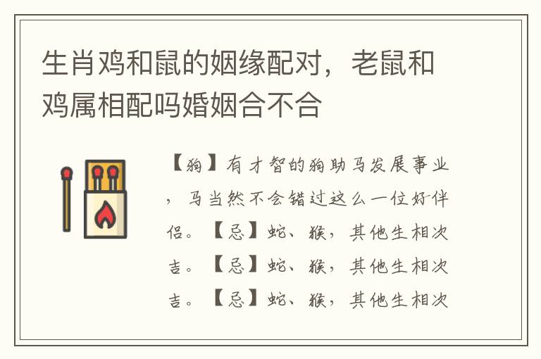 生肖鸡和鼠的姻缘配对，老鼠和鸡属相配吗婚姻合不合