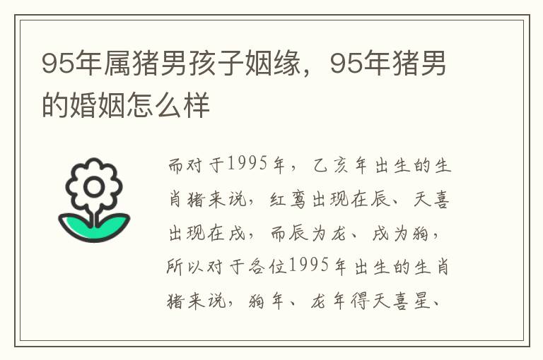 95年属猪男孩子姻缘，95年猪男的婚姻怎么样