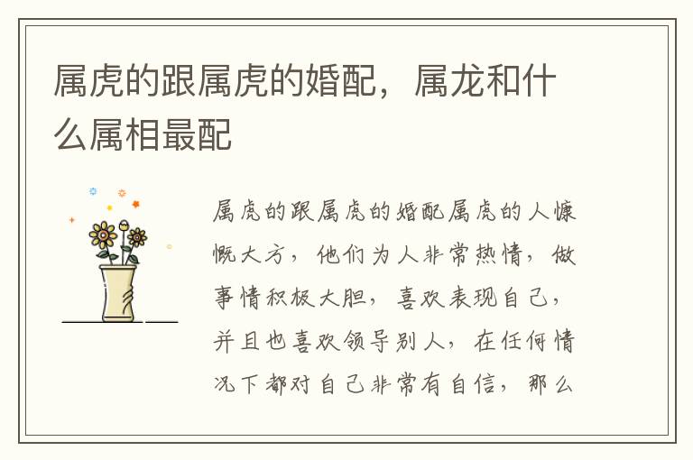 属虎的跟属虎的婚配，属龙和什么属相最配