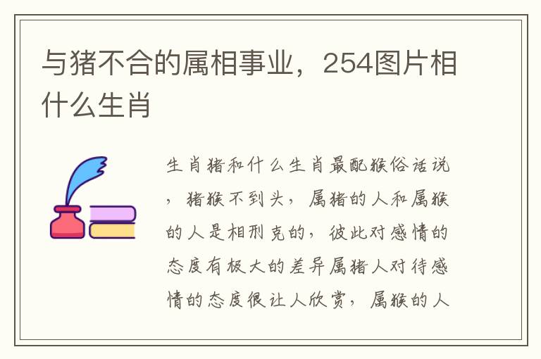 与猪不合的属相事业，254图片相什么生肖