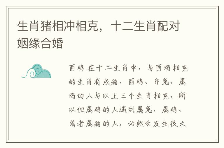 生肖猪相冲相克，十二生肖配对姻缘合婚