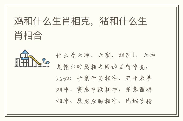 鸡和什么生肖相克，猪和什么生肖相合