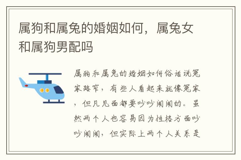 属狗和属兔的婚姻如何，属兔女和属狗男配吗