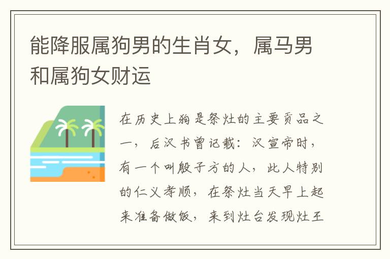 能降服属狗男的生肖女，属马男和属狗女财运