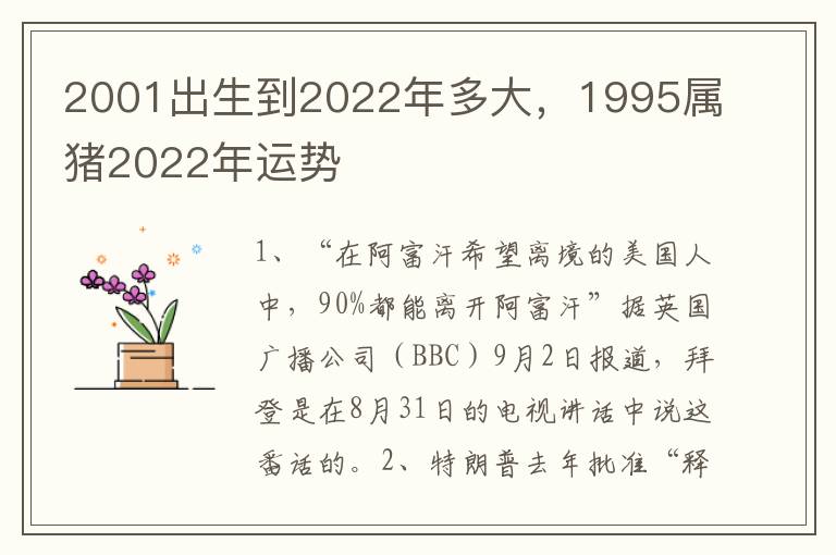 2001出生到2022年多大，1995属猪2022年运势