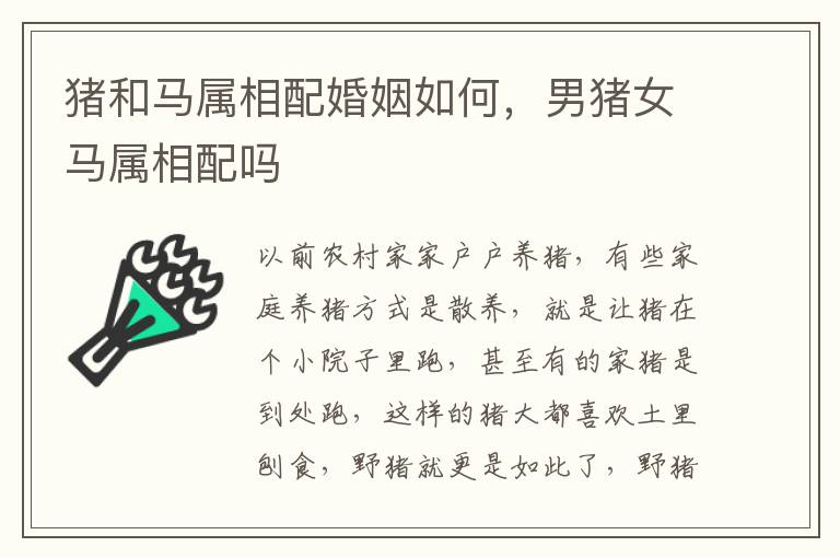猪和马属相配婚姻如何，男猪女马属相配吗