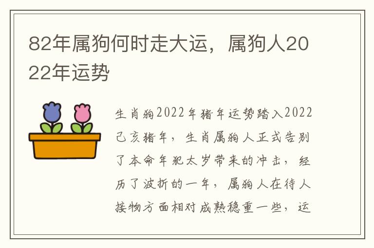 82年属狗何时走大运，属狗人2022年运势