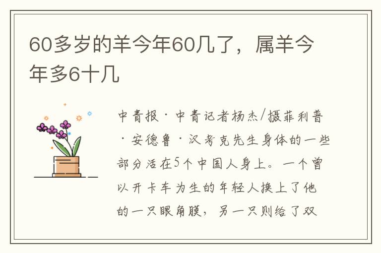 60多岁的羊今年60几了，属羊今年多6十几
