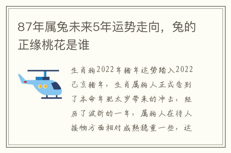 87年属兔未来5年运势走向，兔的正缘桃花是谁