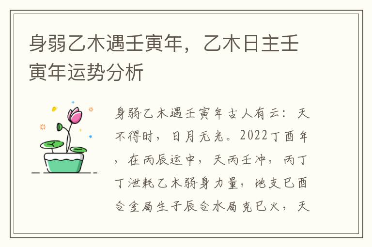 身弱乙木遇壬寅年，乙木日主壬寅年运势分析